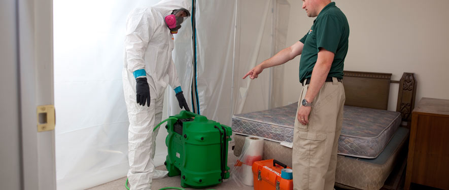 Colorado Springs , CO mold removal process